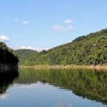 A photo of the Big South Fork River, taken from a boat.