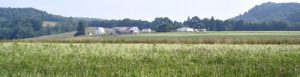 A farm in a valley in Wirt Co, WV.